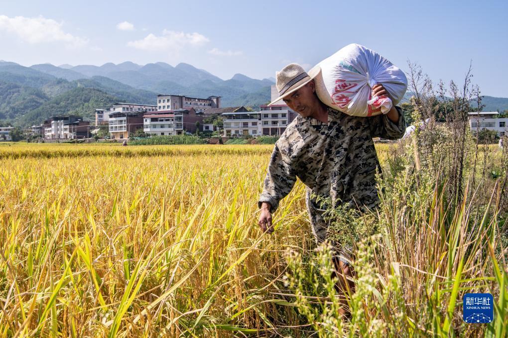 万美娱乐登陆登陆